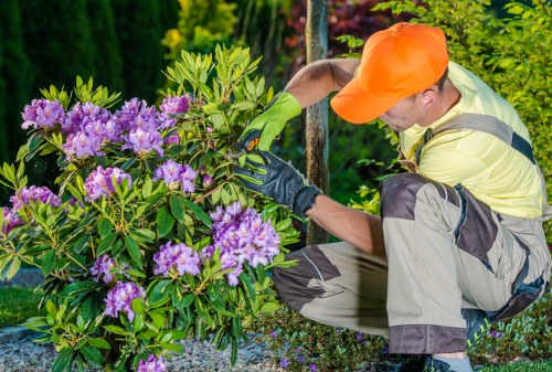 Gardener Kingston team arriving at a garden site