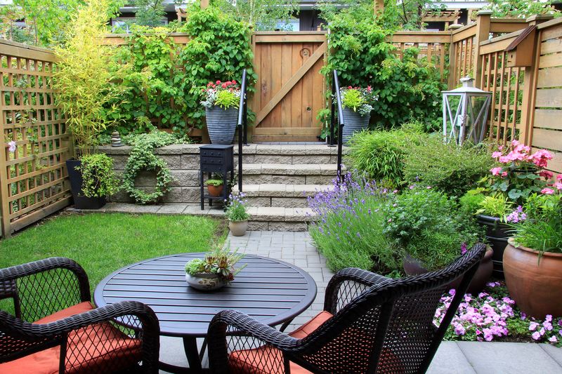 Lush Solutions for Outdoor Privacy Using Tall Containers and Greenery